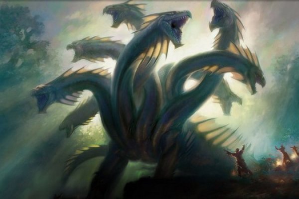 Kraken official