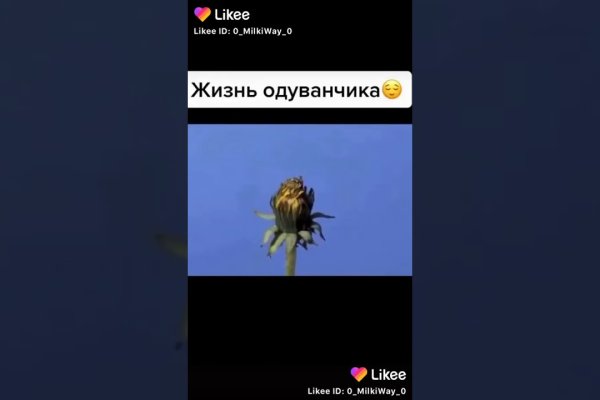 Kraken актуальные ссылки официальный сайт